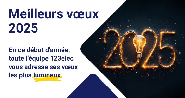 Meilleurs vœux 2025