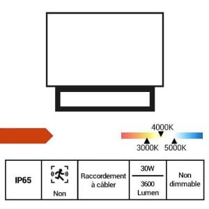 Projecteur LED extérieur noir Beneito Faure 30W orientable - fiche technique