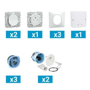 Kit pieuvre électrique universelle KEO pour salle de bain - avec 2 interrupteurs + 1 prises 2P+T + 1 sortie de câble + 3 plaques simples + 3 boîtes d'encastrement + 2 DCL