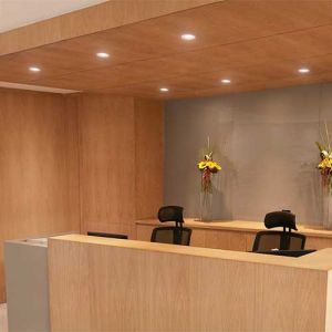 Spot LED encastrable Philips idéal dans un milieu professionnel