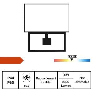 Projecteur extérieur LED extra plat à détection 230V 30W 2800lm 4000°K gris