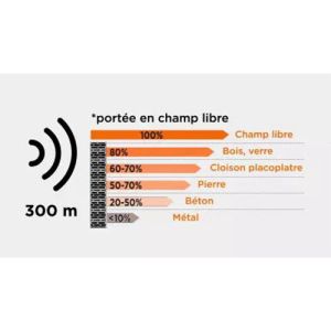 Portée de 300m en champ libre pour le visiophone sans fil professionnel SCS Sentinel