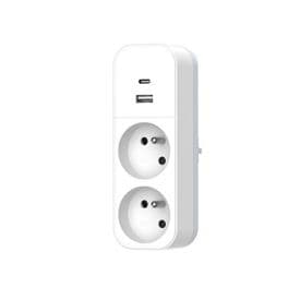 QUARX Multiprise murale Biplite 2 prises 2P+T 16A blanc avec prise USB A et C - 7241