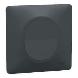 SCHNEIDER Ovalis Bouton poussoir complet anthracite - S340206-F