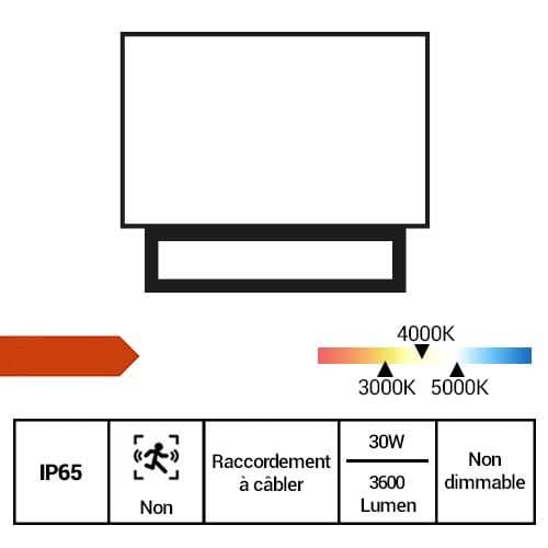 Projecteur LED extérieur noir Beneito Faure 30W orientable - fiche technique