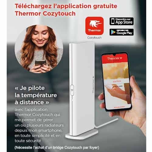 THERMOR Equateur 4 Radiateur connecté inertie double technologie vertical ardoise 1500W compatible avec l'application Thermor CozyTouch